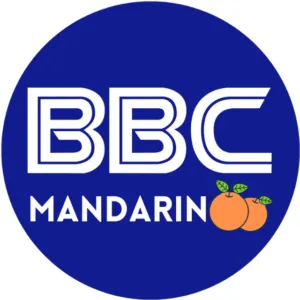 BBC Logo 3